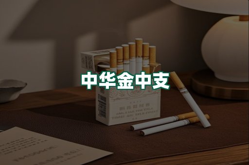 中华金中支